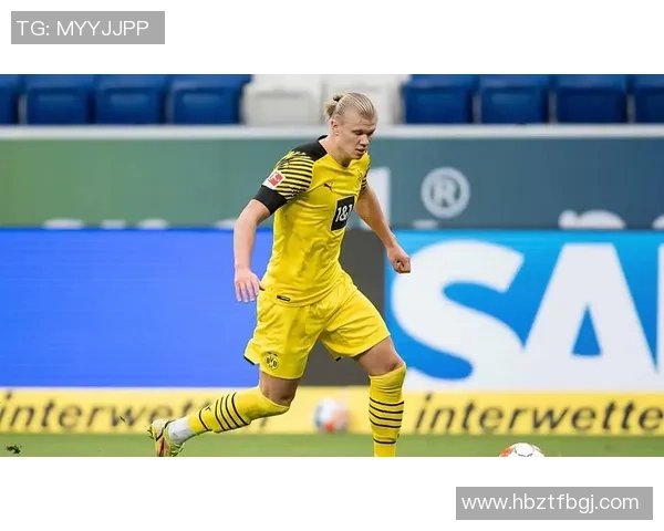 哈兰德足球生涯中的经典瞬间与精彩进球回顾